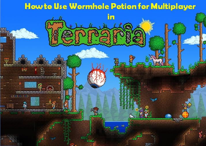 How To Use Wormhole Potion For Multiplayer In Terraria 