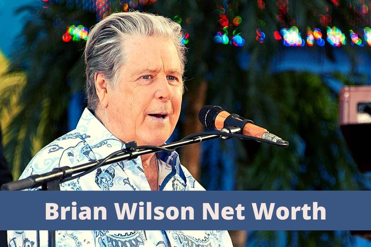 Brian Wilson's Net Worth