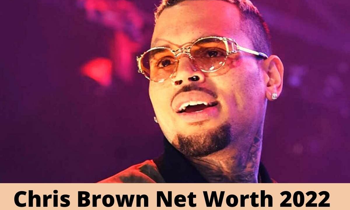 Chris Brown's Net Worth 2022