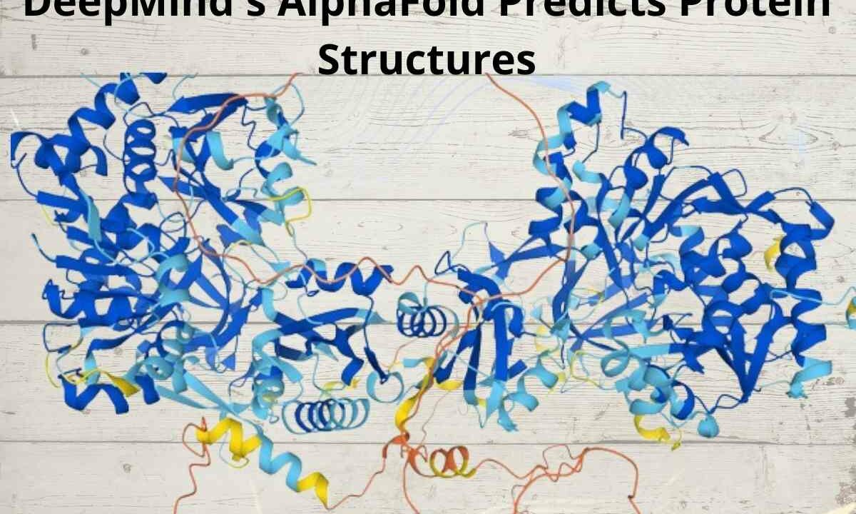 DeepMind's AlphaFold Predicts Protein Structures