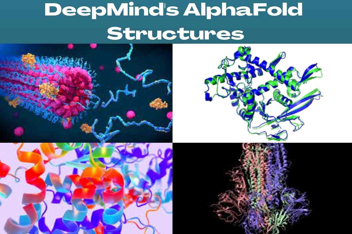 DeepMind's AlphaFold Structures