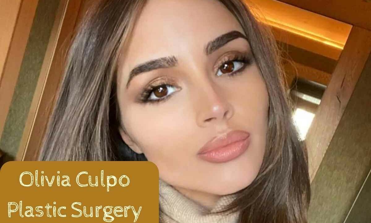 Olivia Culpo Plastic Surgery