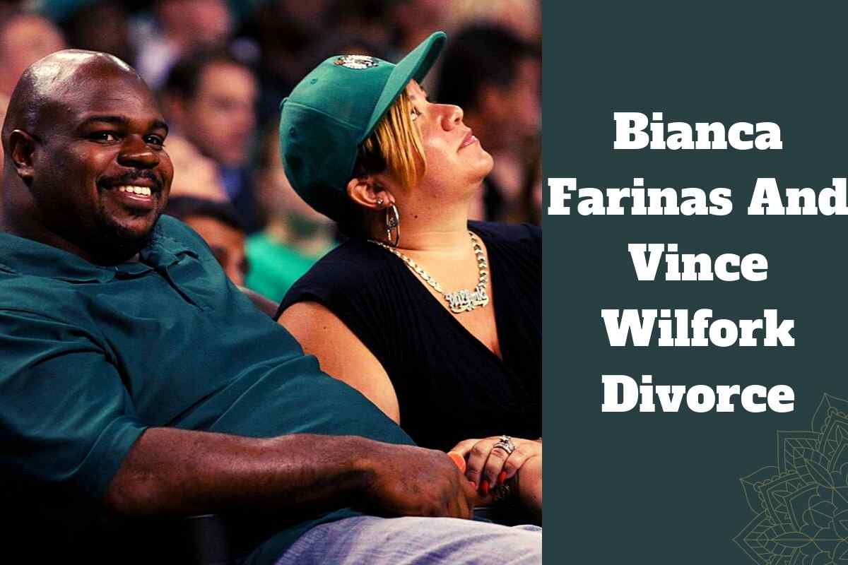 Bianca Farinas And Vince Wilfork Divorce
