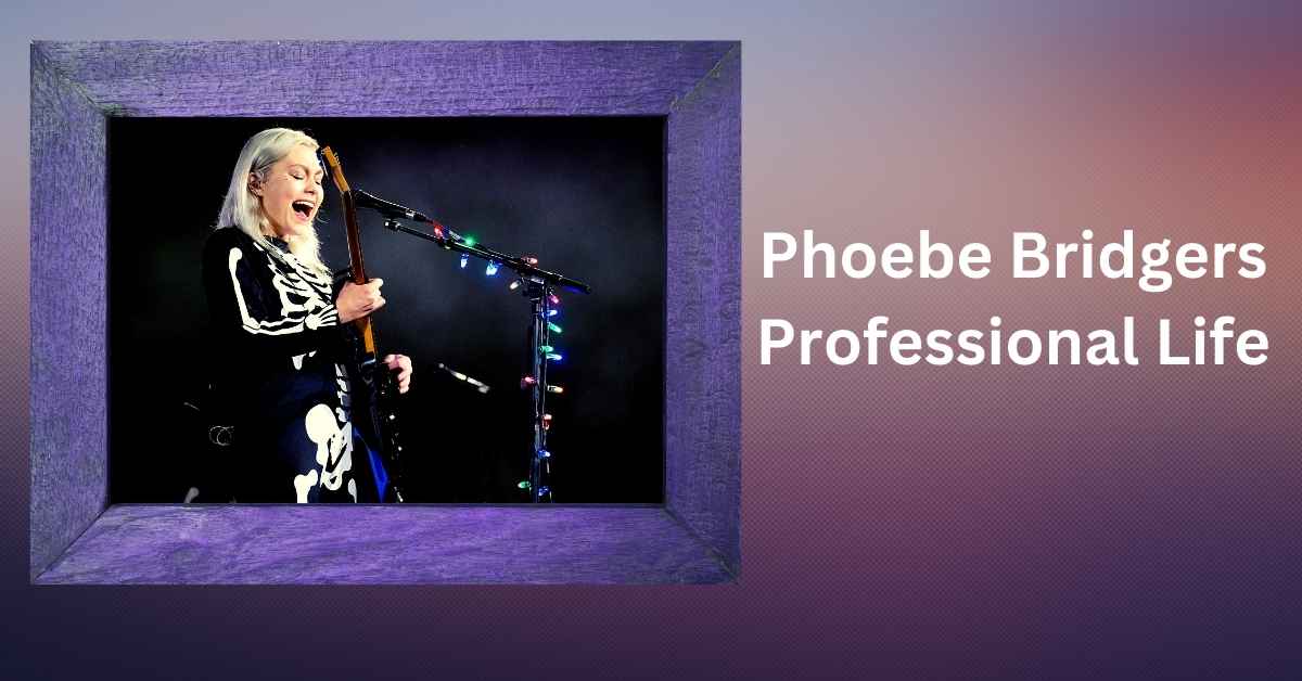 Phoebe Bridgers Professional Life