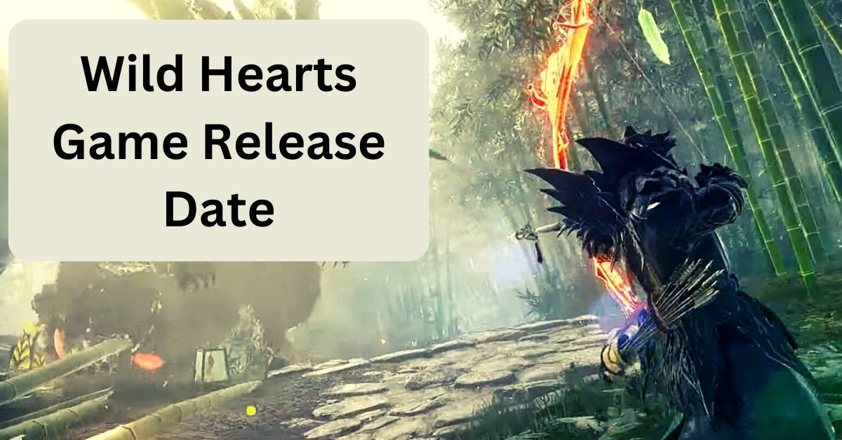 Wild Hearts Game Release Date