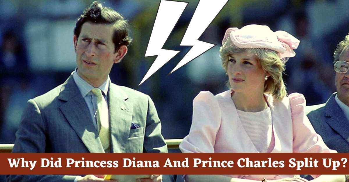 Why Did Princess Diana And Prince Charles Split Up? 