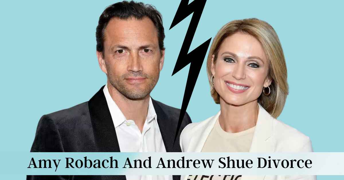 Amy Robach And Andrew Shue Divorce