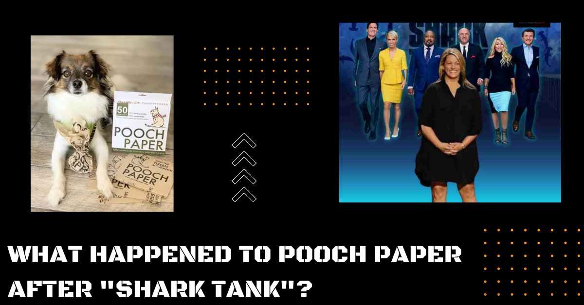 What Happened to Pooch Paper After Shark Tank?