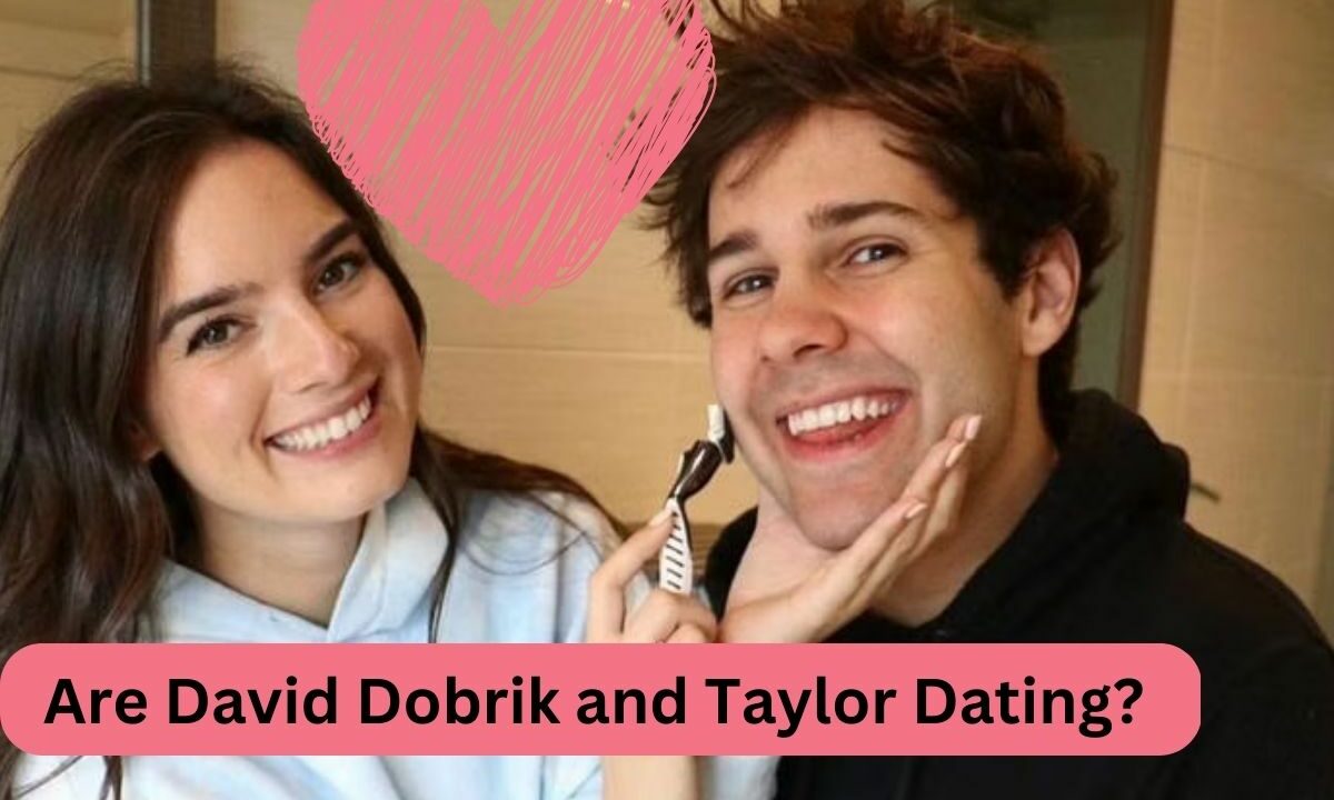 Are David Dobrik and Taylor Dating Relationship Status