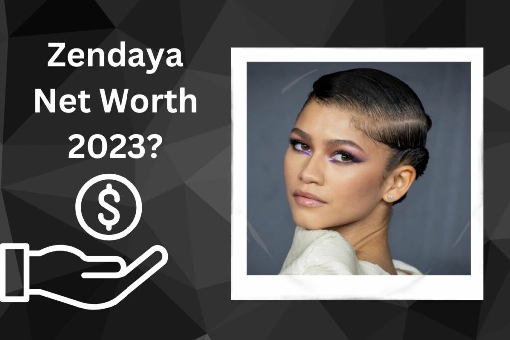 Zendaya Net Worth 2023 How Much Does She Make Annually