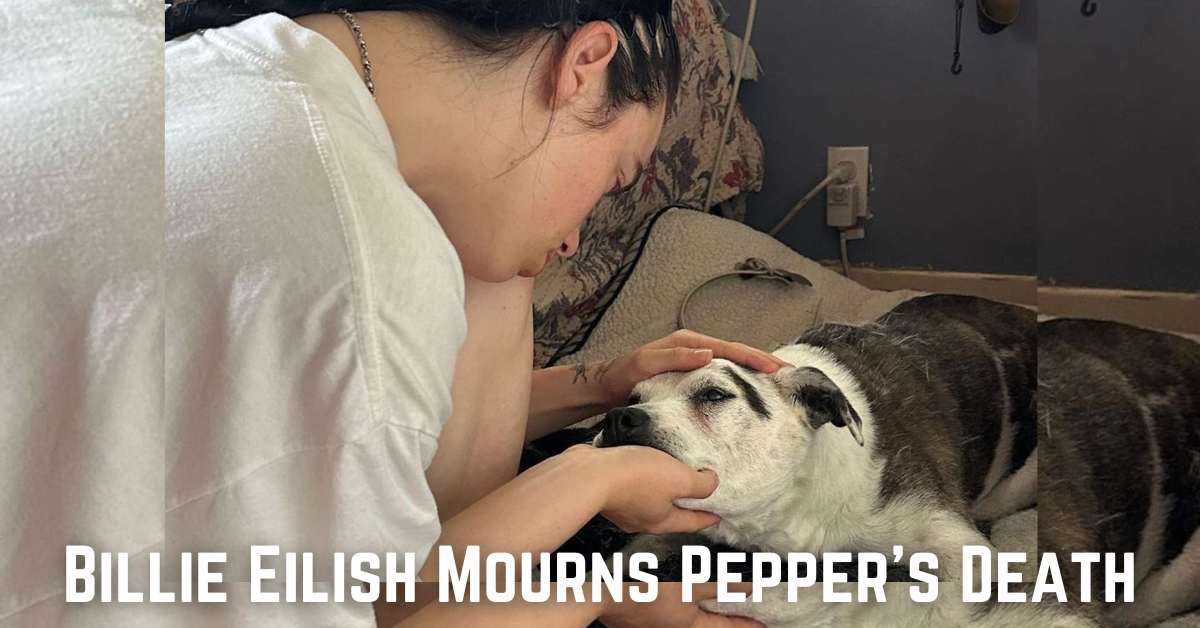 Billie Eilish Mourns Pepper's Death