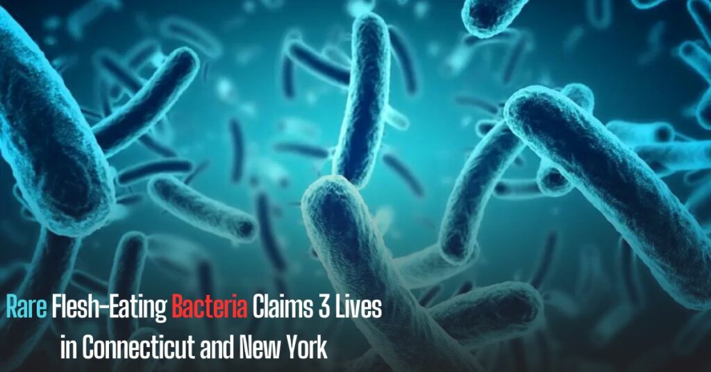 Rare Flesh-Eating Bacteria Claims 3 Lives in Connecticut and New York