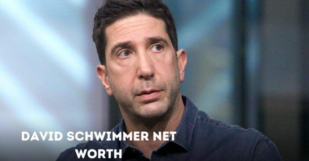 David Schwimmer Net Worth