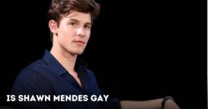 Is Shawn Mendes Gay
