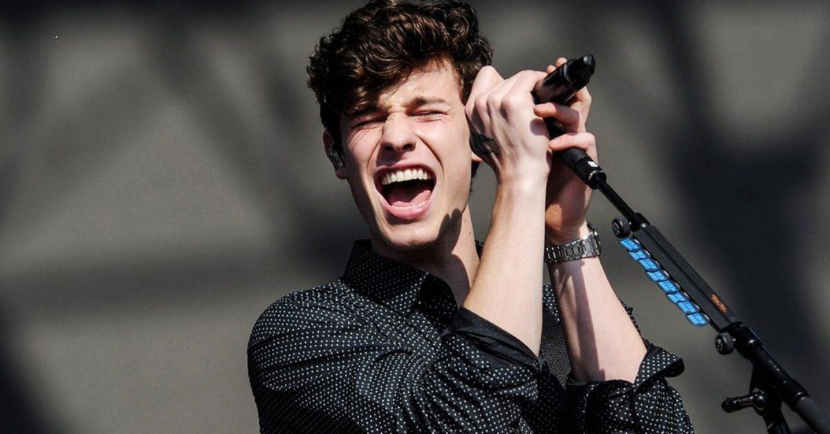 What Does Shawn Mendes Have to Say About His Sexuality