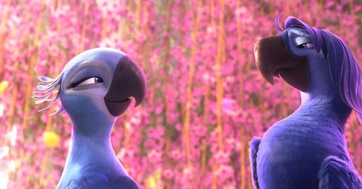 What We Know About Rio 3